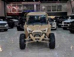 بولاريس RZR